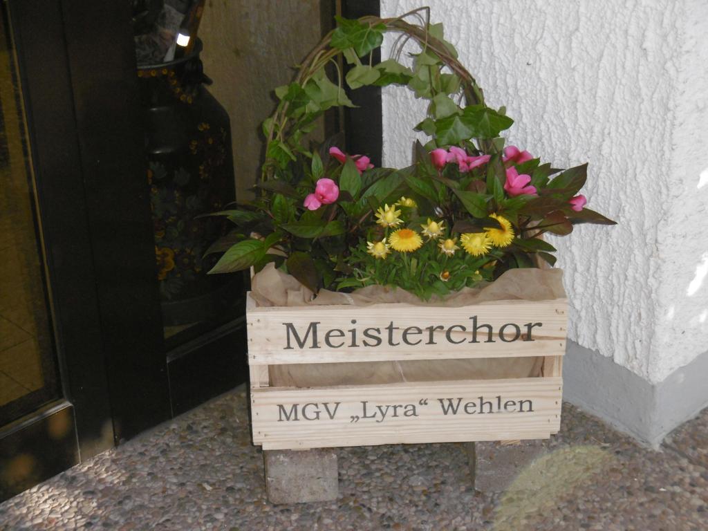 Haus Hochwaldhöhe Morbach Exterior foto